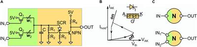 A Functional Spiking Neural Network of Ultra Compact Neurons